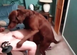 Get your ass right here for this zoo fuck session