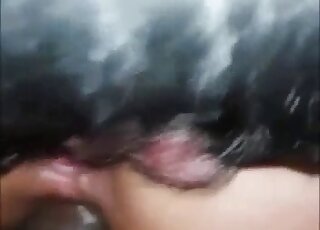 Good and hot anal zoo porn in the close-up - xxx animal amateur