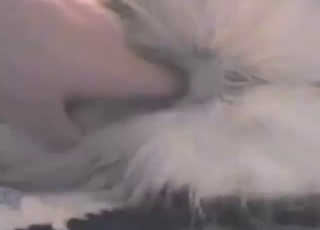 Zoophile pleasure with a HUSKY getting off