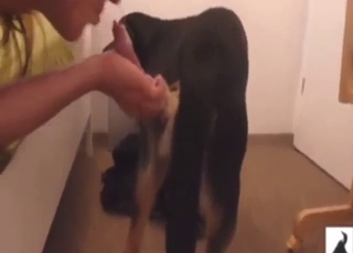 Dude wants to suck off a black dog for real