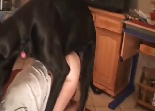 The redhead looks so freaking nice with a dog cock inside