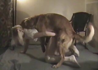 Sexy doggy licks her wide-opened hole