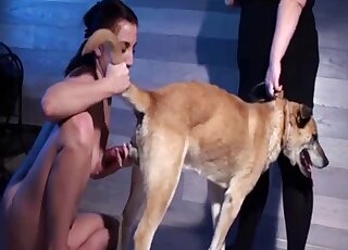 Passionate babe is getting pleasure from her doggy