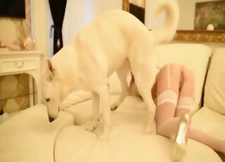 Delightful babe deepthroats a mutt prick