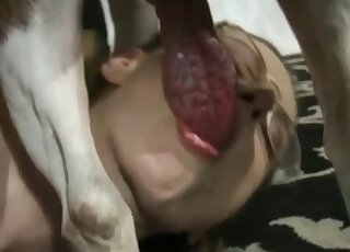 Winsome lovely is swallowing a horny beast's penis