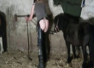 Leather-wearing lady screwed by a horny stallion