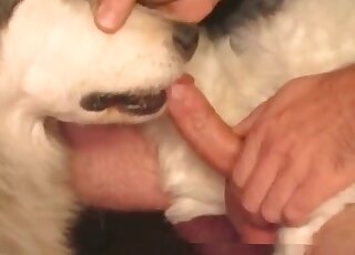 Beastiality definition with hot throat fucking