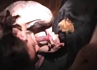 Mature zoophile gets doggystyled by a sexy dog