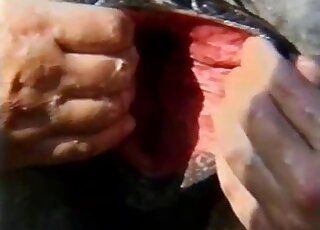 Insane gape featured in a free porno movie in HD