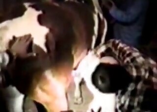 Astonishing zoo sex with hot screwing on all fours